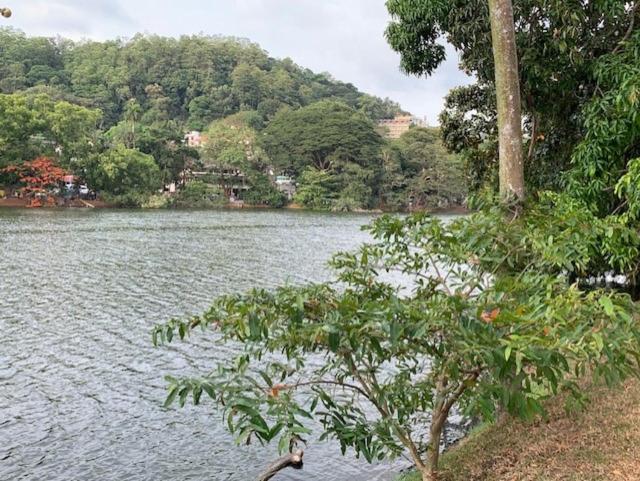 Hotel Mango Garden Kandy Exterior foto